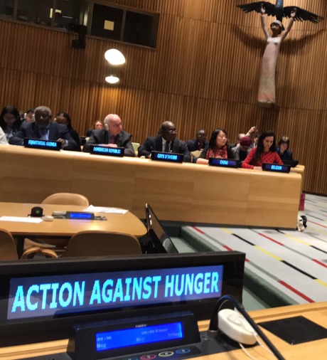 Action Against Hunger represented at a meeting of the United Nations Security Council