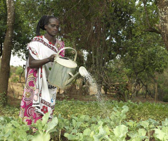 Rosina Chenangat, 38, is the leader of the kitchen garden which is an initiative of the Mother-to-Mother support group in Kapkitony Village in West Pokot, Kenya.