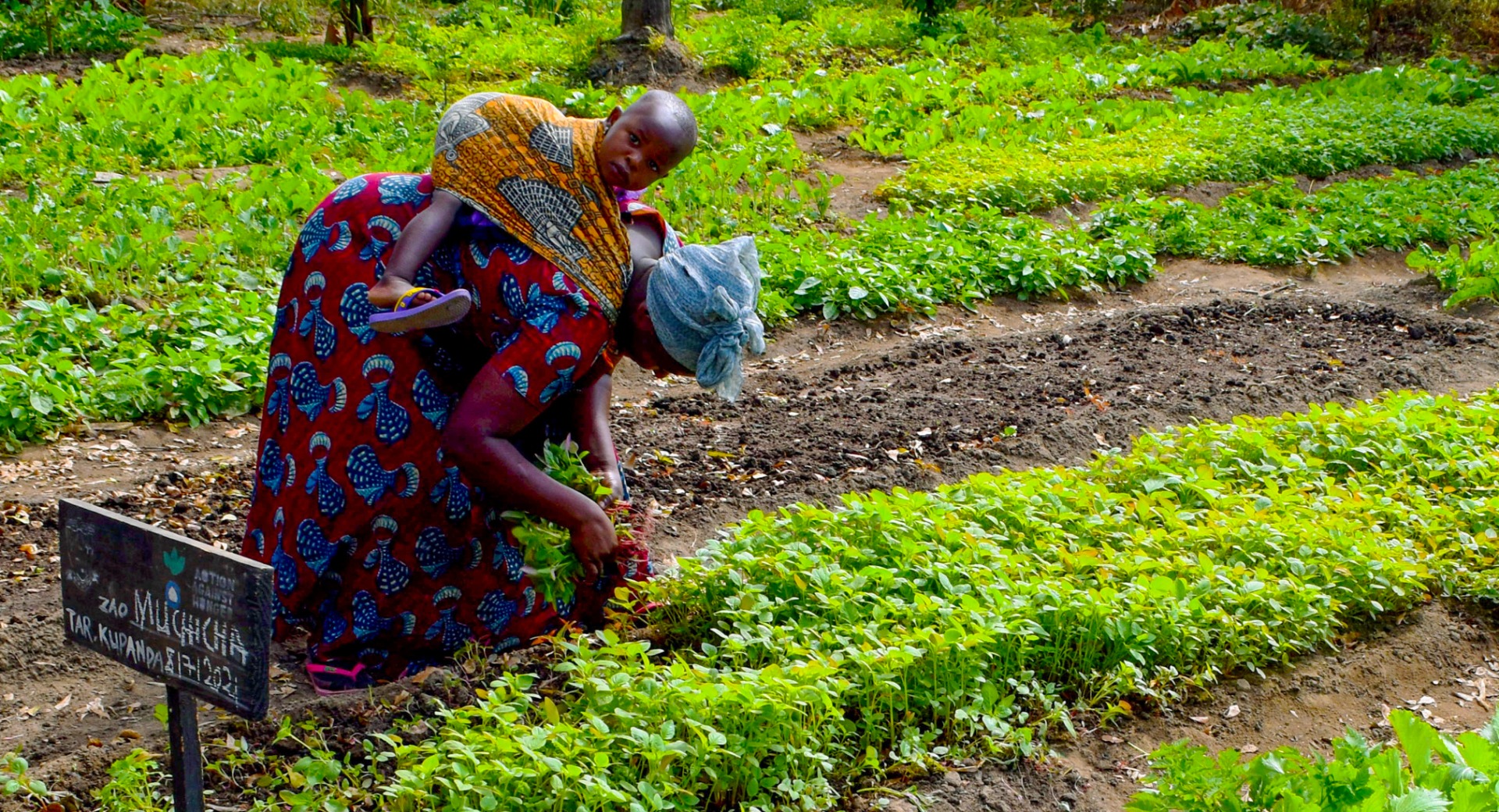A woman and her baby in a demonstration plot