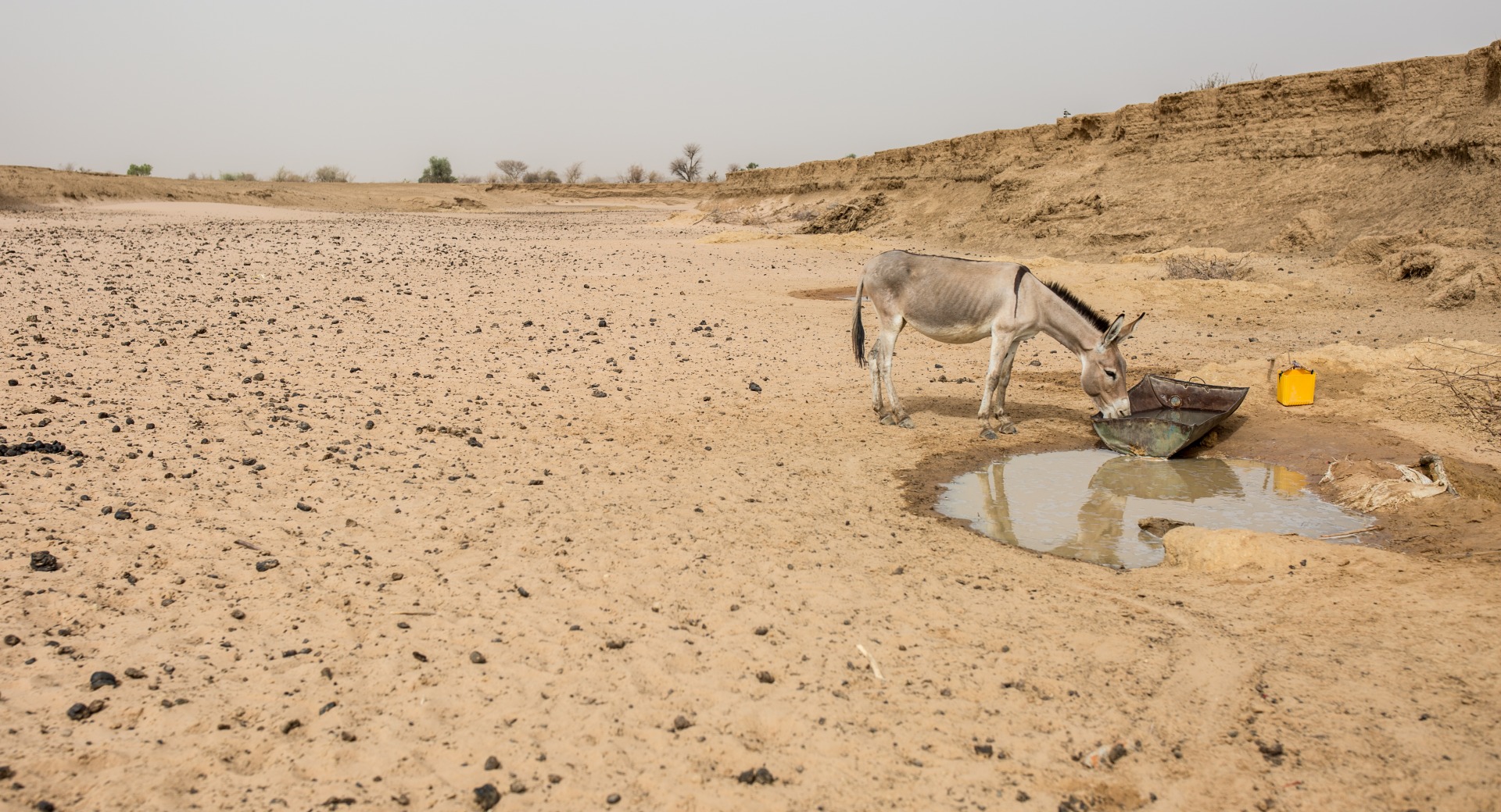 Climate change makes life challenging for herders as water and grazing land becomes harder to find.