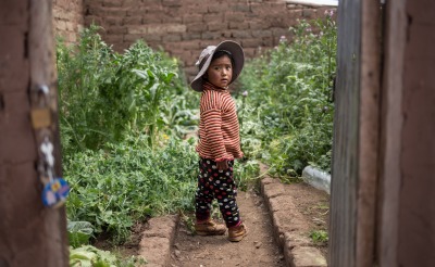 A child stands in a garden