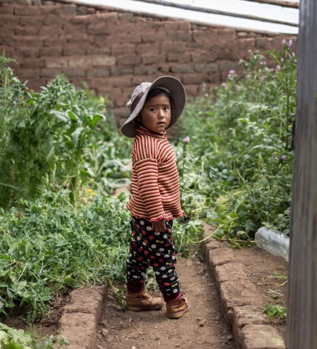 A child stands in a garden
