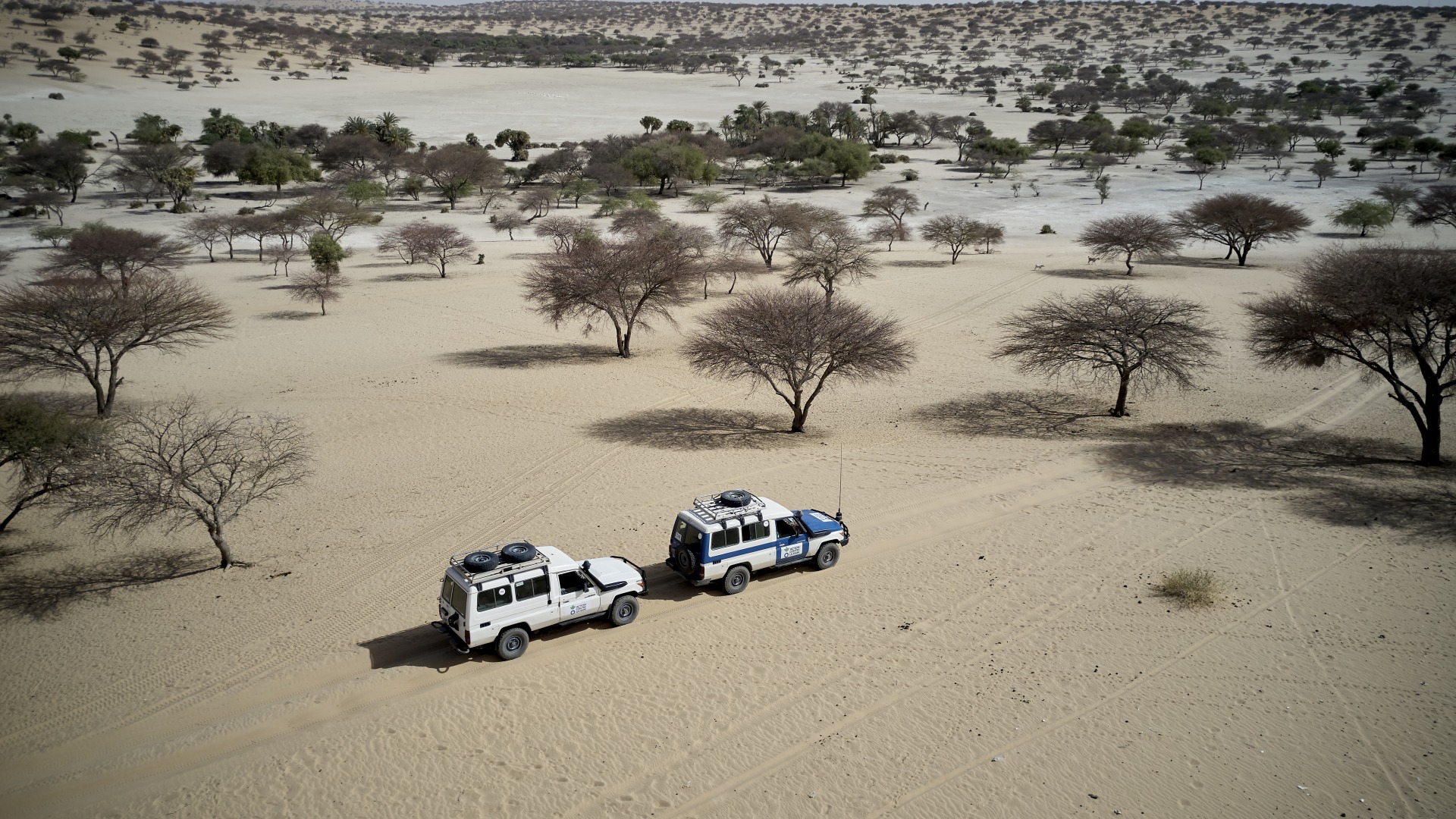 Action Against Hunger trucks drive through a desert in the Sahel region of West Africa.