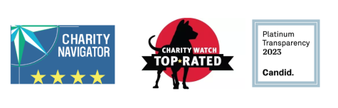 charity ratings badges